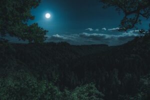 闇夜と月