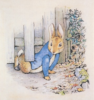 絵本ピーターラビットのあらすじ 新訳版 名作あらすじ